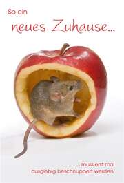Doppelkarte "Maus/Apfel" - Neues Zuhause Doppelkarte "Maus/Apfel" - Neues Zuhause