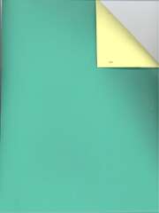Secare Uni Matt mint/gelb 919097 200m/50cm Secare Uni Matt mint/gelb 919097 200m/50cm