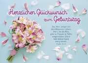 Postkarten: Herzlichen Glückwunsch, 12 Stück Postkarten: Herzlichen Glückwunsch, 12 Stück