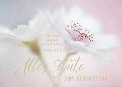 Postkarten "Alles Gute zum Geburtstag" 12 Stück
