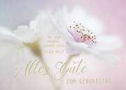 Postkarten "Alles Gute zum Geburtstag" - Blüte 12 Stück Postkarten "Alles Gute zum Geburtstag" - Blüte 12 Stück