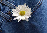 Faltkarten Bluejeans, 5 Stück Faltkarten Bluejeans, 5 Stück