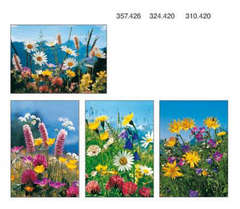 Faltkartenbox Wiesenblumen, 4 Stück