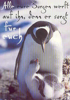 Postkarten - Alle eure Sorgen (Pinguine) - 8er Set