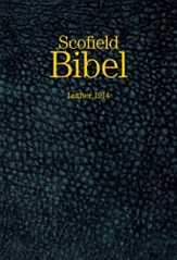 Scofield Bibel - Goldschnitt