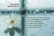 Herzliche Anteilnahme - Faltkarte Herzliche Anteilnahme - Faltkarte