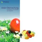 Monika Büchel - Oster-Überraschung Oster-Überraschung