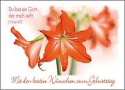 Postkarten Geburtstag, 6 Stück Postkarten Geburtstag, 6 Stück
