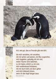 Doro Zachmann - Postkarten: Ach wie gut, das es Freunde gibt wie dich, 4 Stück Postkarten: Ach wie gut, das es Freunde gibt wie dich, 4 Stück