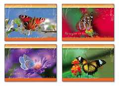 Postkartenserie Schmetterlinge, 12 Stück