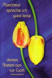 Manfred Siebald - Sarah Kaiser - Manchmal spreche ich ganz leise - CD-Card NEUTRAL Manchmal spreche ich ganz leise - CD-Card NEUTRAL