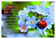 Carmen Silva - Glück - Postkarte Glück - Postkarte